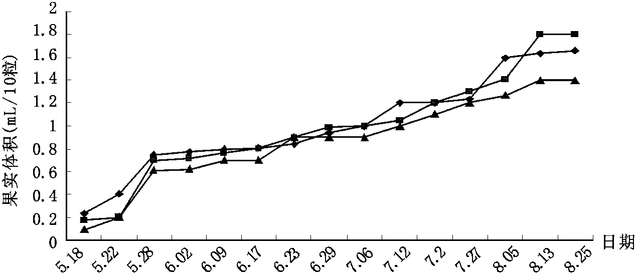 7.3 结实规律